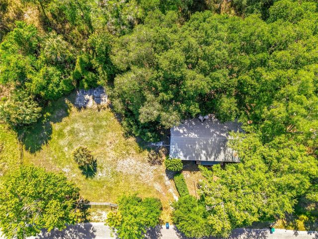 1338 SAINT NICHOLAS AVENUE, Christmas, FL 32709