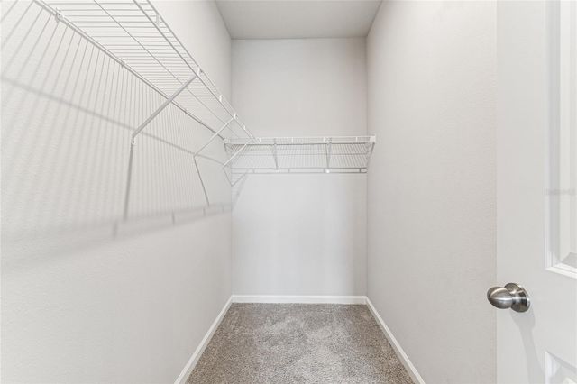 19780 BLUE POND DRIVE, Lutz, FL 33558