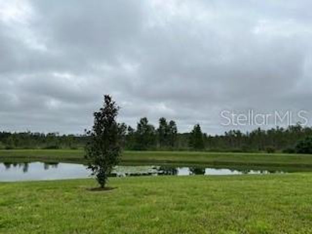 19780 BLUE POND DRIVE, Lutz, FL 33558