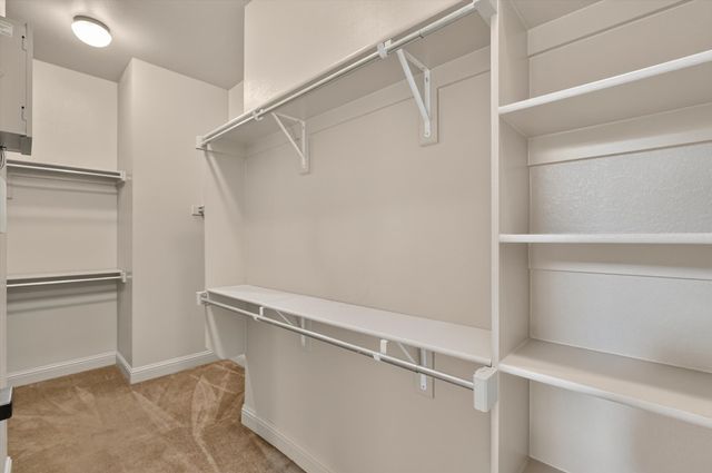 3158 Luchenbach Trail, Rockwall, TX 75032
