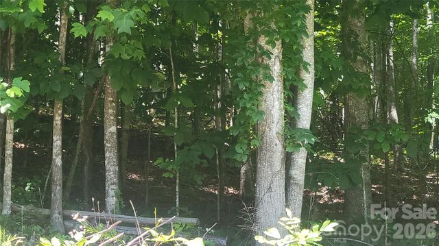 Lots 16, 17 &23 Wildwood Acres Drive, Burnsville, NC 28714