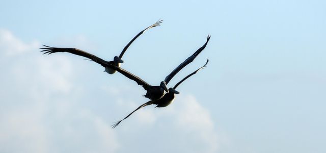 9833 SW Isabelline Drive, Port St. Lucie, Port St Lucie, FL 34987