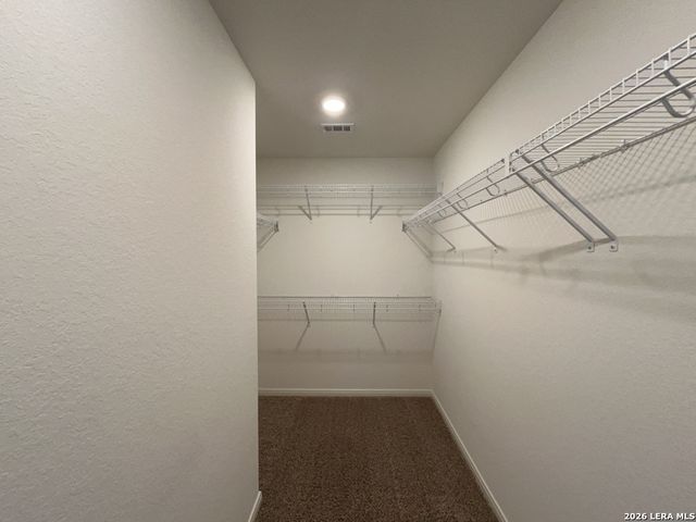 7953 Cactus Plum Drive, San Antonio, TX 78254