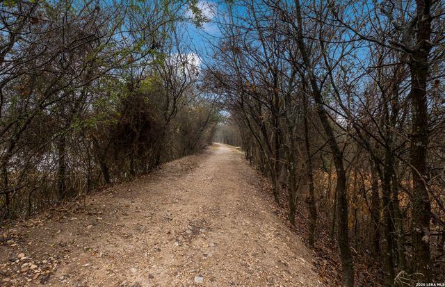 7953 Cactus Plum Drive, San Antonio, TX 78254