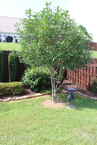 2825 Knob Creek Lane, Knoxville, TN 37912