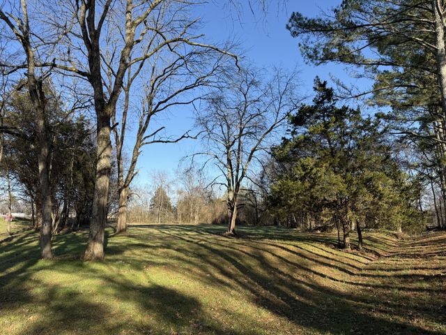 0 Rocky Fork Road, Smyrna, TN 37167