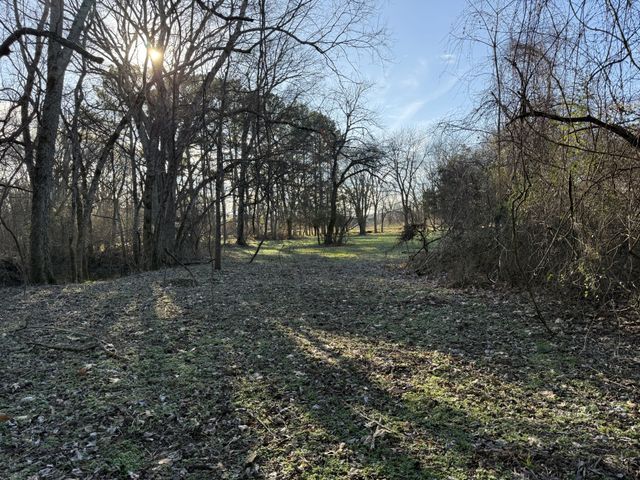 0 Rocky Fork Road, Smyrna, TN 37167