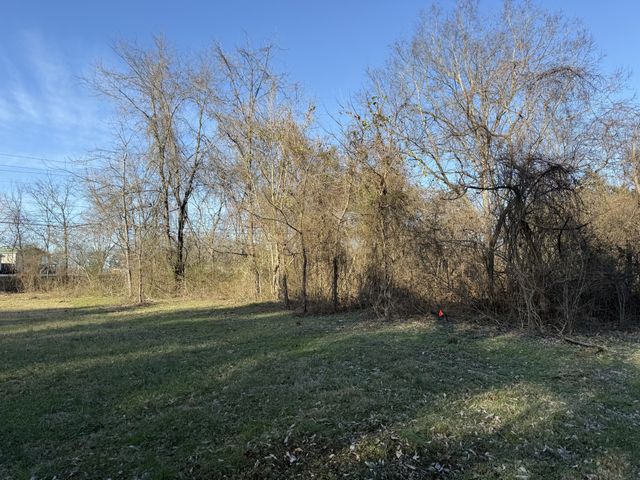 0 Rocky Fork Road, Smyrna, TN 37167