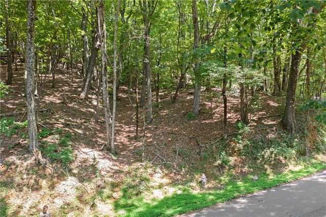 37 Petit Ridge Drive, Big Canoe, GA 30143