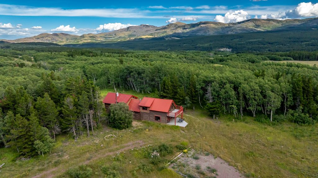 20338 US Hwy 2, East Glacier Park, MT 59434 photo 14