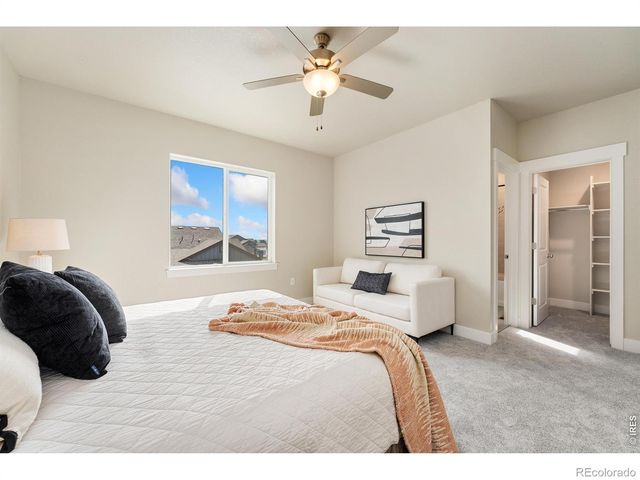 6224 Vernazza Way 2, Windsor, CO 80550