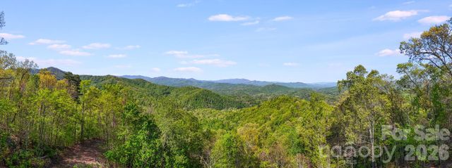 785 & 841 Laurel Spring Drive, Bryson City, NC 28713