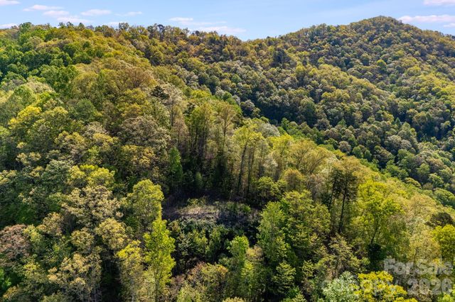 785 & 841 Laurel Spring Drive, Bryson City, NC 28713