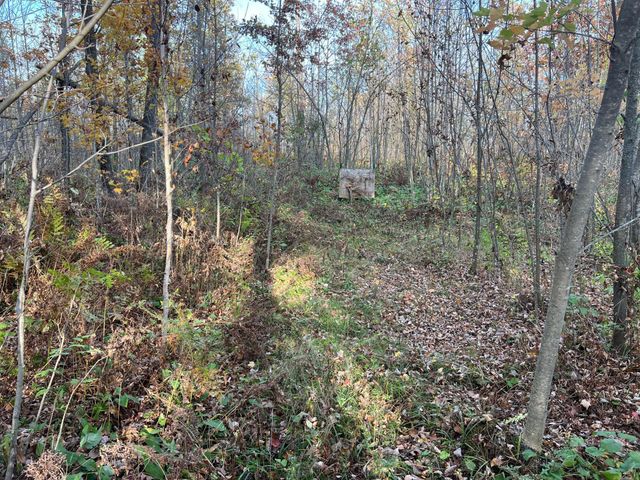 73855 Markville Road, Arna Twp, MN 55072