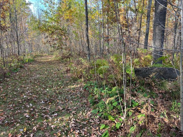 73855 Markville Road, Arna Twp, MN 55072