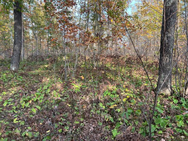 73855 Markville Road, Arna Twp, MN 55072