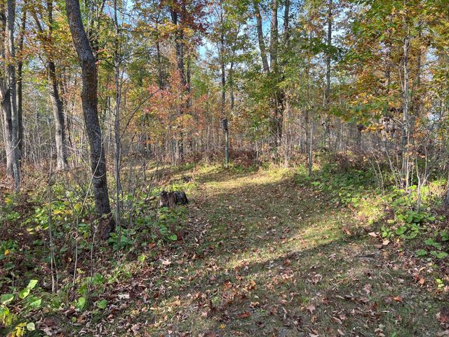 73855 Markville Road, Arna Twp, MN 55072