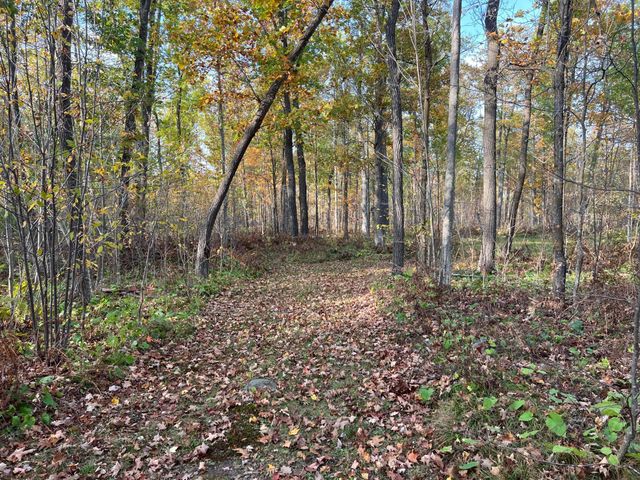 73855 Markville Road, Arna Twp, MN 55072