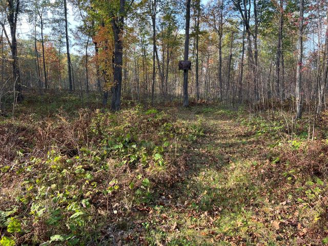 73855 Markville Road, Arna Twp, MN 55072