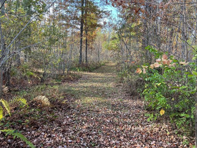 73855 Markville Road, Arna Twp, MN 55072