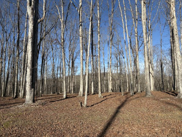 11C Shelton Cemetery Rd, Cumberland Furnace, TN 37051