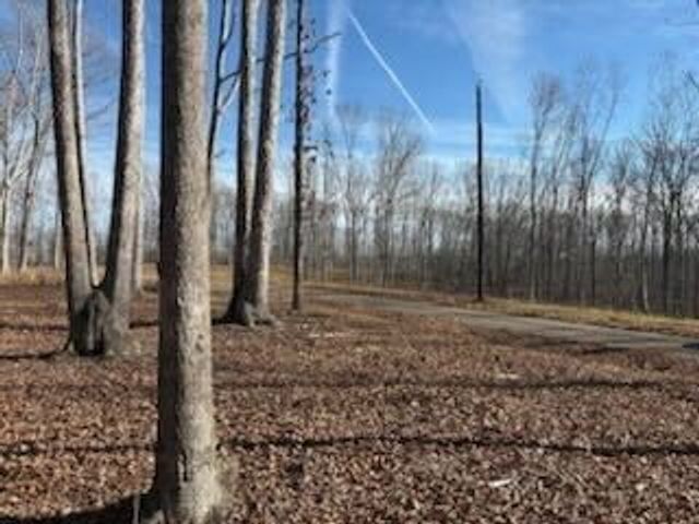 11C Shelton Cemetery Rd, Cumberland Furnace, TN 37051