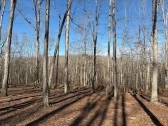 11C Shelton Cemetery Rd, Cumberland Furnace, TN 37051