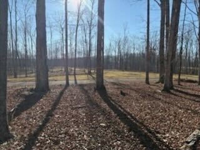 11C Shelton Cemetery Rd, Cumberland Furnace, TN 37051