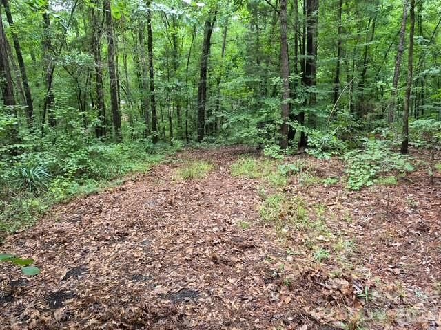 3231 Shadybark Trail, Catawba, SC 29704