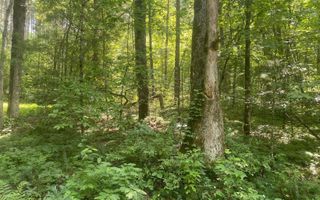 0 Murphy Hwy, Mineral Bluff, GA 30559