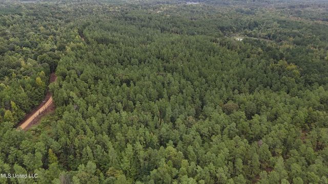 County Road 53, Coila, MS 38923