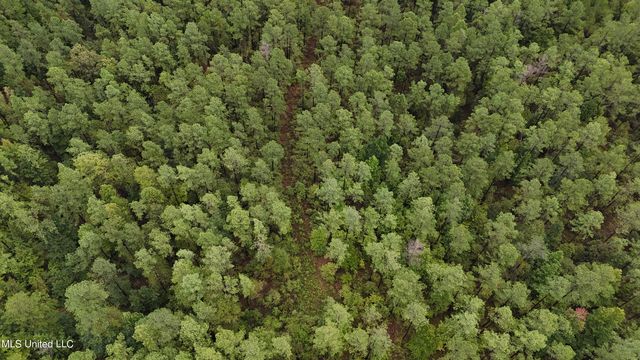 County Road 53, Coila, MS 38923