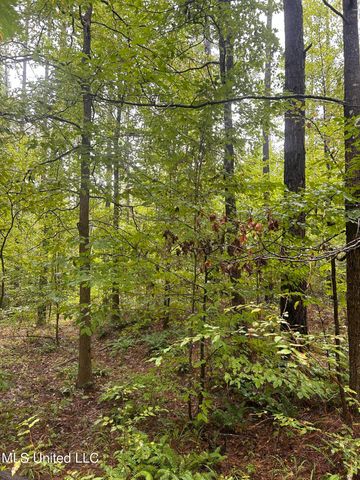 County Road 53, Coila, MS 38923