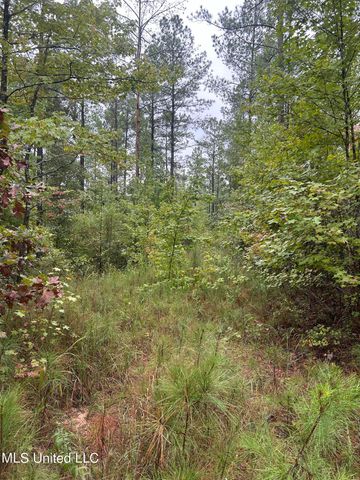 County Road 53, Coila, MS 38923