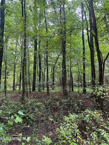 County Road 53, Coila, MS 38923