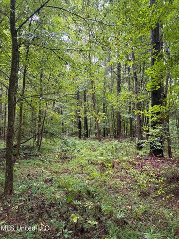 County Road 53, Coila, MS 38923