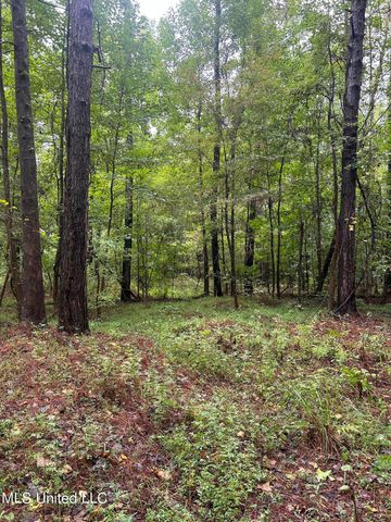 County Road 53, Coila, MS 38923
