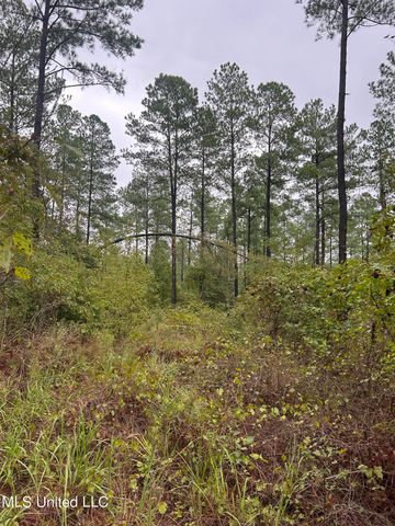 County Road 53, Coila, MS 38923