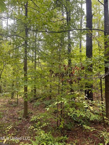 County Road 53, Coila, MS 38923