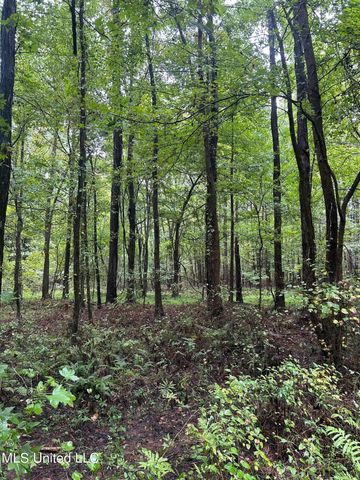 County Road 53, Coila, MS 38923