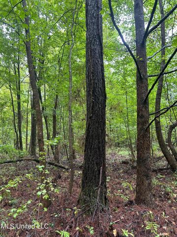 County Road 53, Coila, MS 38923