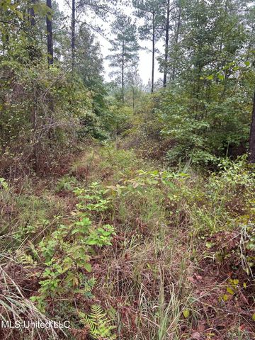 County Road 53, Coila, MS 38923