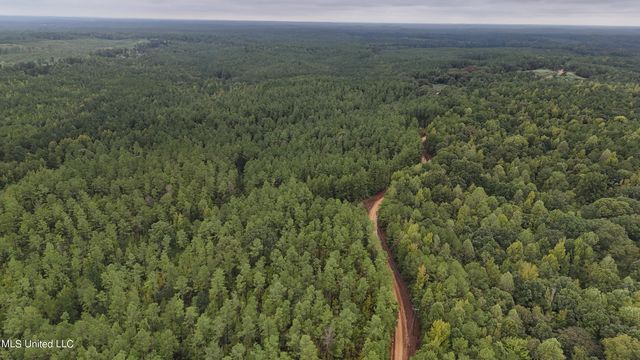 County Road 53, Coila, MS 38923