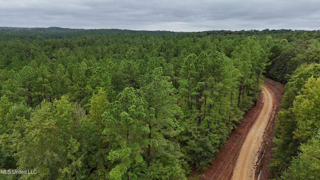 County Road 53, Coila, MS 38923