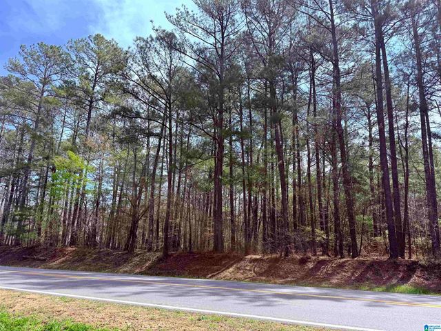 11490 HIGHWAY 55, Westover, AL 35147