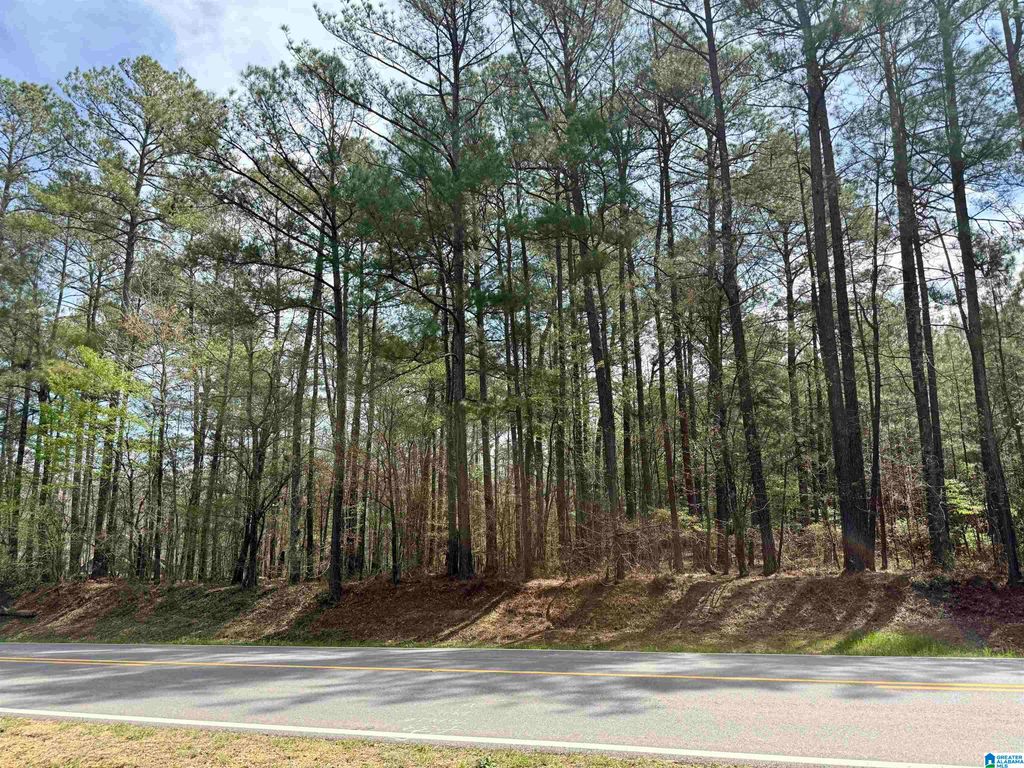 11490 HIGHWAY 55, Westover, AL 35147
