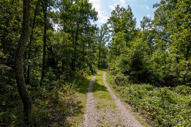 7309 County Road 5090, Pomona, MO 65789