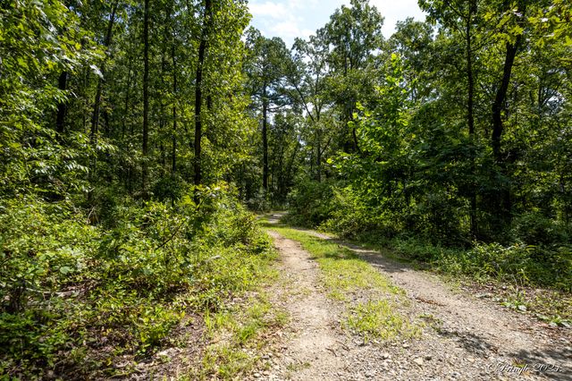 7309 County Road 5090, Pomona, MO 65789