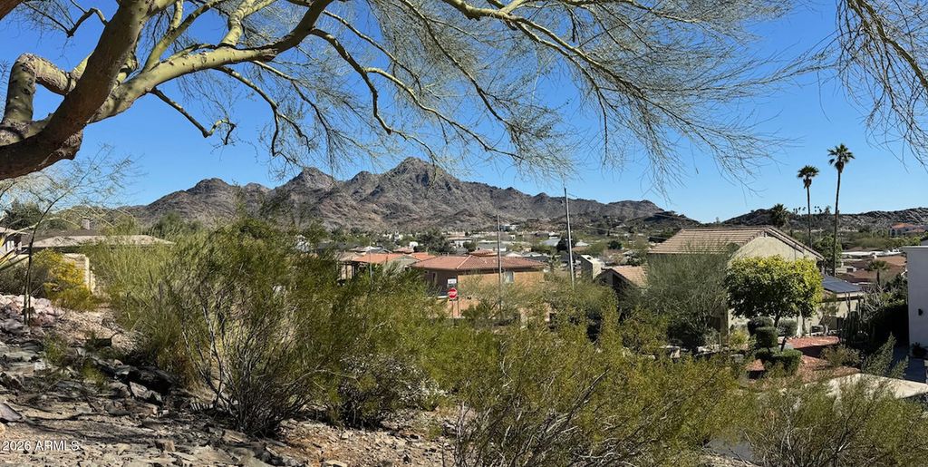 1334 E LAS PALMARITAS Drive, Phoenix, AZ 85020 — photo 4