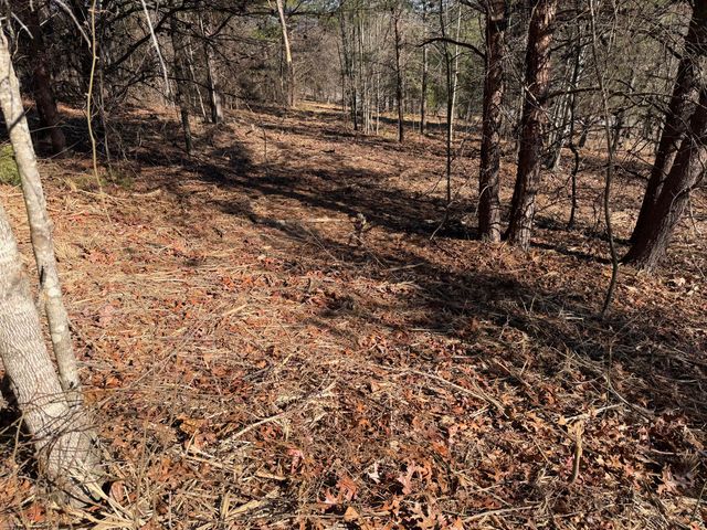 00 Majestic Heights, Ringgold, GA 30736